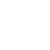 Rabbit Duck