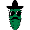 mexikaner_kaktus