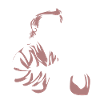 Shakuhachi Cadeau