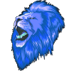 León cabeza de león azul. Rey de los animales.