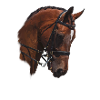 cheval
