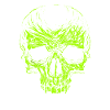 Skull skull skull vampire
