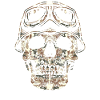 Motards Skull crâne
