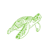 Schildkröte