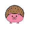 Hedgehog