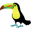 Toucan