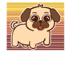Pug Dog Puppy Puppy