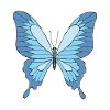 Papillion