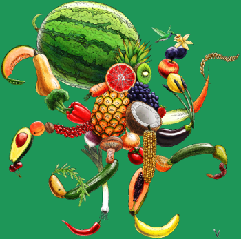 Pulpi Frutti : Saveur Marine Originale