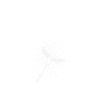 Grill Daddy