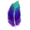 Galaxy spring