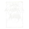 Bande Dessinée Schaedel