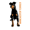 Manchester Terrier