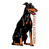 Manchester Terrier
