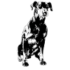Manchester Terrier
