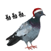Dove - Christmas Ho