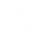 cœur