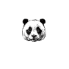 panda