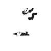 Panda wrestling