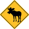 Moose Road Sign