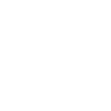 Champignons cèpes