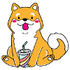 shiba inu with paper cup