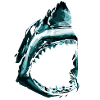 Shark with open mouth