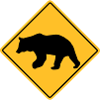 Bear Road Sign