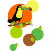 Tucano - colorato e colorato