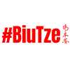 WingTsun BiuTze