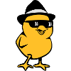 poussins doux
