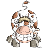 Drôle Vache