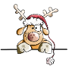 Rufus The Reindeer
