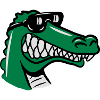 Crocodile fun funny