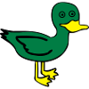Cute Duck