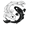 Yin and Yang Koi carp balance