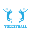 volleyball
