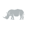 Rhinoceros
