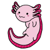 little axolotl