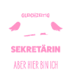 Sekretärin