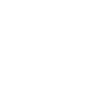 Vegvisir white