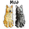Two Mudis