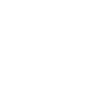 Rosa Parks - Feminist Phrases