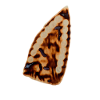 Funny iron fireprint failed