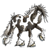 Taciana the Irish Tinker
