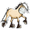 Funny Fjord Horse