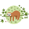 The marijuana sloth