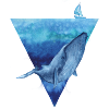 whale