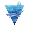 Baleine baleine baleine