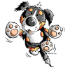 Divertente Bovaro del Bernese